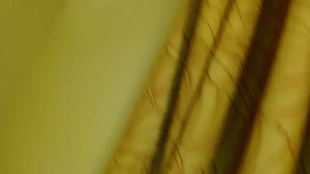 Snapshot of digbicku chatting on 10-12-25, 05:17 digbicku online show from 10-12-25, 05:17