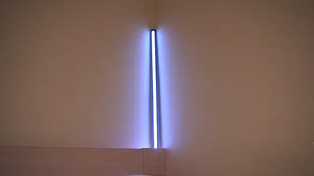 Liuba Fox online show from 02-23-26, 07:33