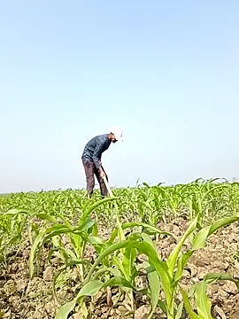 ThethunderPo online show from 02-06-26, 04:39