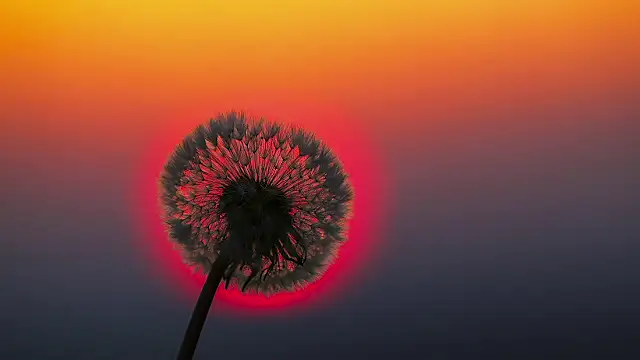 Sunning2 online show from 09-10-25, 08:36