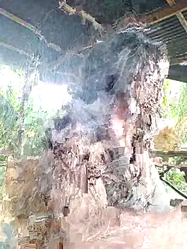 loveuu-bae online show from 10-23-25, 09:35