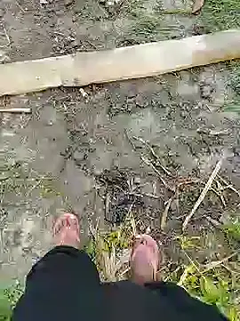 bigh96dik online show from 01-14-25, 08:41