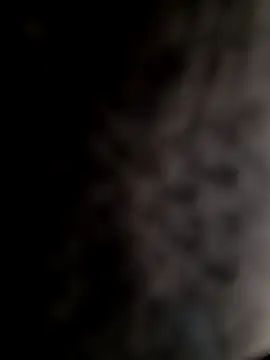 mogli444 online show from 12-08-24, 01:03