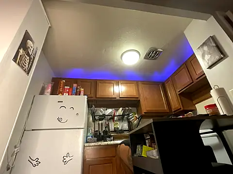 odbodu online show from 10-04-25, 10:13