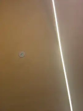 Gatitacarlita online show from 11-26-25, 10:27