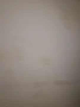 Adivaaa online show from 10-16-25, 09:10