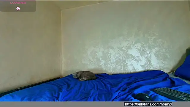 Snapshot of angeliquevany chatting on 12-02-25, 06:58 angeliquevany online show from 12-02-25, 06:58