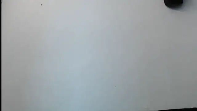 SebastianReiss online show from 02-13-25, 01:29