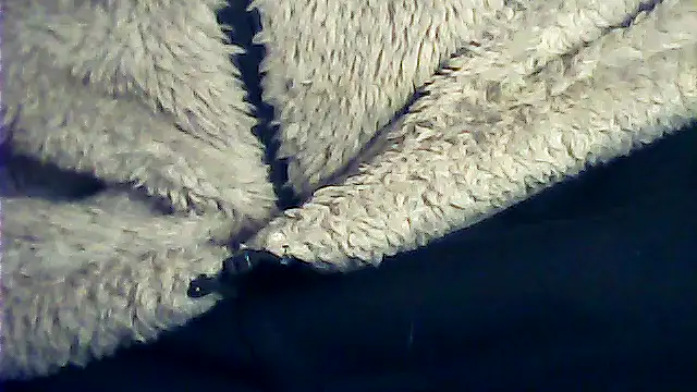 Snapshot of kalinixta chatting on 01-06-26, 06:44 kalinixta online show from 01-06-26, 06:44