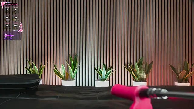 NiceHotJob online show from 02-03-25, 07:00