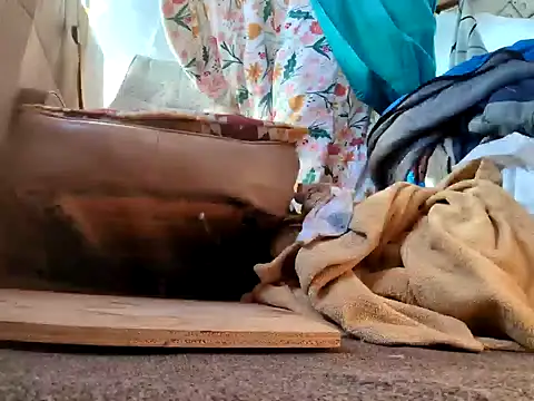 klamper online show from 01-28-25, 07:42