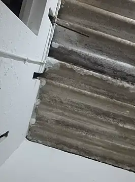 DAELAA online show from 02-18-25, 01:54