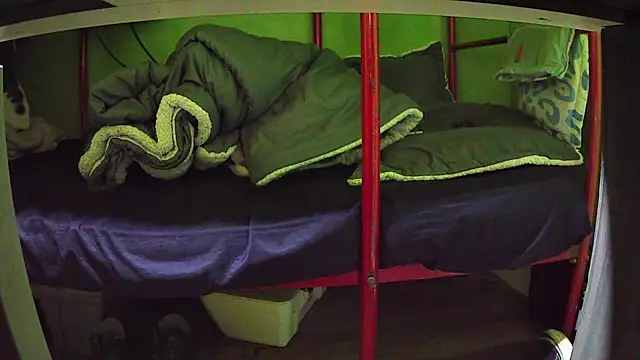 Snapshot of Walltaz chatting on 03-24-26, 05:01 Walltaz online show from 03-24-26, 05:01