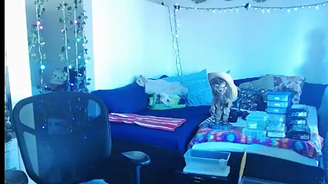 mycock2474u online show from 02-25-25, 03:38