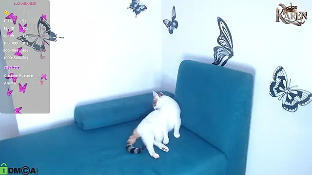 karen sofia  online show from 02-02-26, 09:13