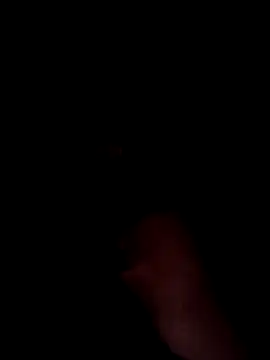 Latin summer online show from 12-08-24, 11:40