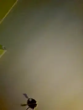 Snapshot of NiceHunter89 chatting on 01-12-25, 01:11 NiceHunter89 online show from 01-12-25, 01:11