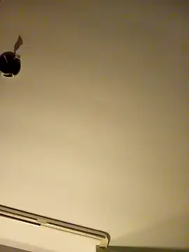 Snapshot of NiceHunter89 chatting on 01-26-25, 02:45 NiceHunter89 online show from 01-26-25, 02:45