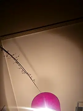 Snapshot of NiceHunter89 chatting on 02-05-25, 10:22 NiceHunter89 online show from 02-05-25, 10:22