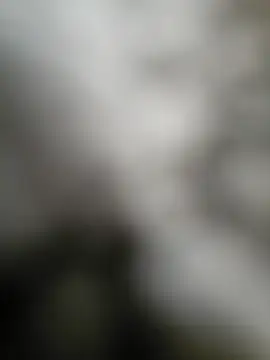 Snapshot of NiceHunter89 chatting on 09-15-25, 02:50 NiceHunter89 online show from 09-15-25, 02:50