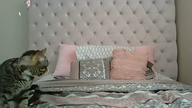 beautylovess online show from 12-21-25, 02:35