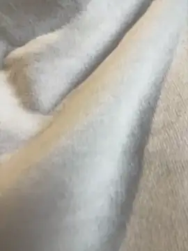 Snapshot of Aestheticsgirl chatting on 03-03-26, 07:47 Aestheticsgirl online show from 03-03-26, 07:47