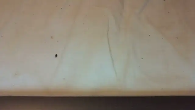 Helly97 online show from 10-23-25, 08:07