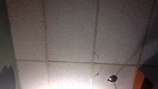 moipipi2 online show from 12-07-24, 04:31