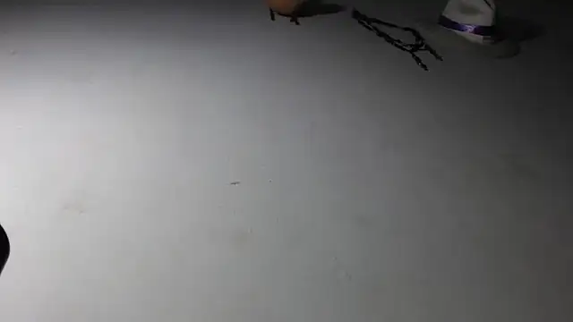 adrixxx38 online show from 01-17-26, 11:19