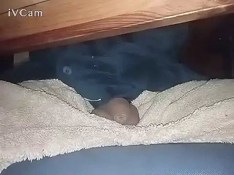 Snapshot of Bigdick666cm chatting on 03-06-25, 03:13 Bigdick666cm online show from 03-06-25, 03:13