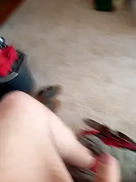 Snapshot of maiki7778 chatting on 10-02-25, 12:34 maiki7778 online show from 10-02-25, 12:34