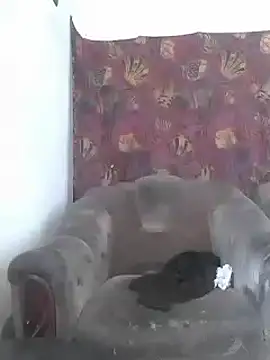 Cerd Ayaz online show from 03-06-25, 06:19