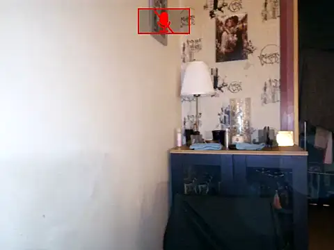 Ethangay online show from 11-05-25, 09:26