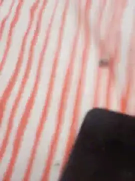 Snapshot of MRbigc23 chatting on 05-31-26, 03:08 MRbigc23 online show from 05-31-26, 03:08