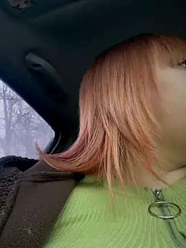 Model9798 online show from 11-30-25, 09:13