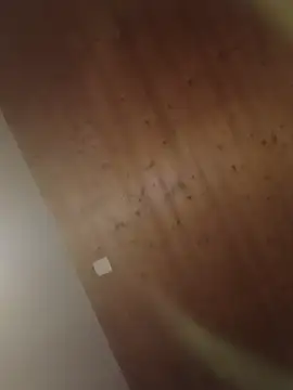 Kw8585kw online show from 03-01-26, 08:22