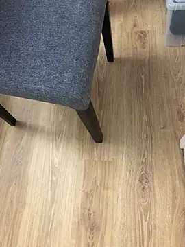 Mindnorthcam2 online show from 12-25-24, 05:37