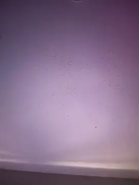 Snapshot of 6lue6a6y69 chatting on 11-01-25, 05:20 6lue6a6y69 online show from 11-01-25, 05:20