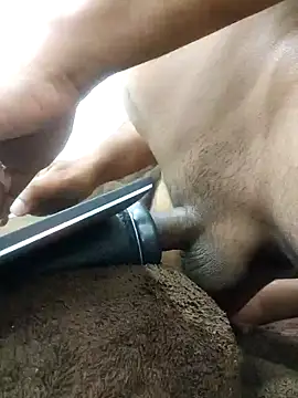 indianbulldelhi online show from 01-27-25, 07:45