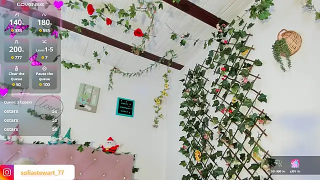 steewart  online show from 12-13-24, 11:28