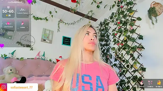 steewart  online show from 12-29-24, 11:29