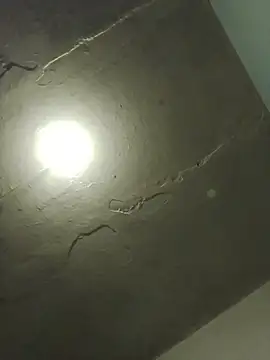 Indianbloom- online show from 04-06-26, 09:32