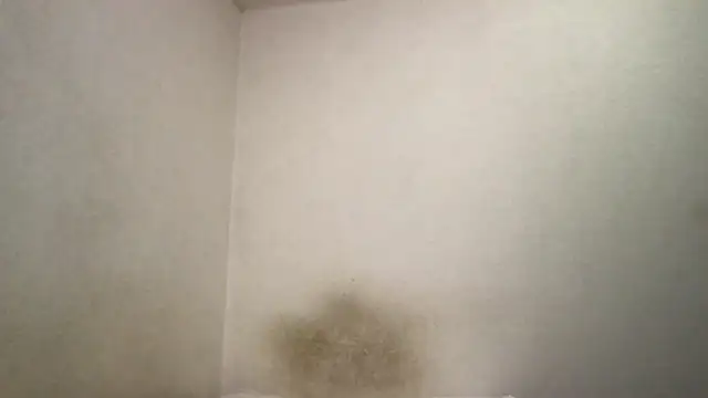 Magicwordsforme online show from 03-15-25, 12:25