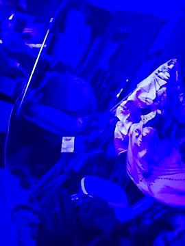 Snapshot of justinewe69 chatting on 09-23-25, 03:31 justinewe69 online show from 09-23-25, 03:31