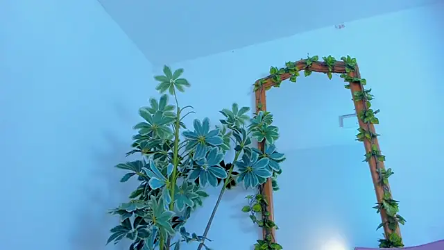 Snapshot of NinaWong chatting on 02-26-26, 07:02 NinaWong online show from 02-26-26, 07:02