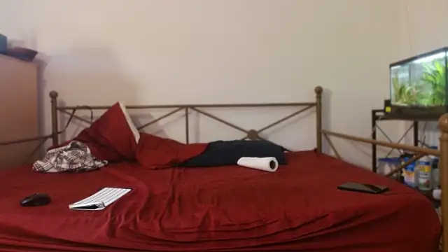 Dragonnycxh online show from 02-21-26, 08:54