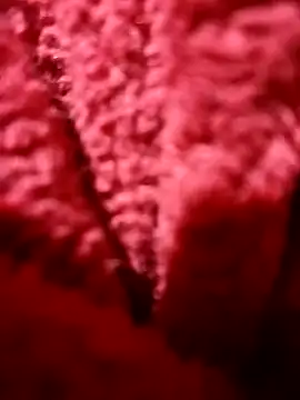 modelo38528061 online show from 12-14-24, 01:49