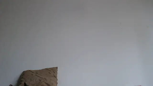 Katze22 online show from 12-13-24, 09:57