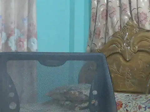 Snapshot of NancyRuvi chatting on 09-09-25, 03:22 NancyRuvi online show from 09-09-25, 03:22