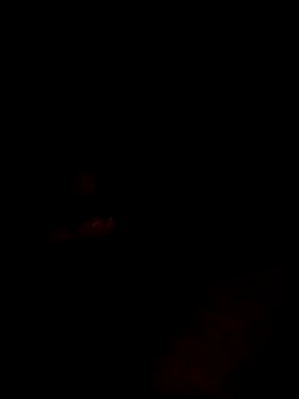 Snapshot of websterribeiro chatting on 03-11-26, 03:45 websterribeiro online show from 03-11-26, 03:45